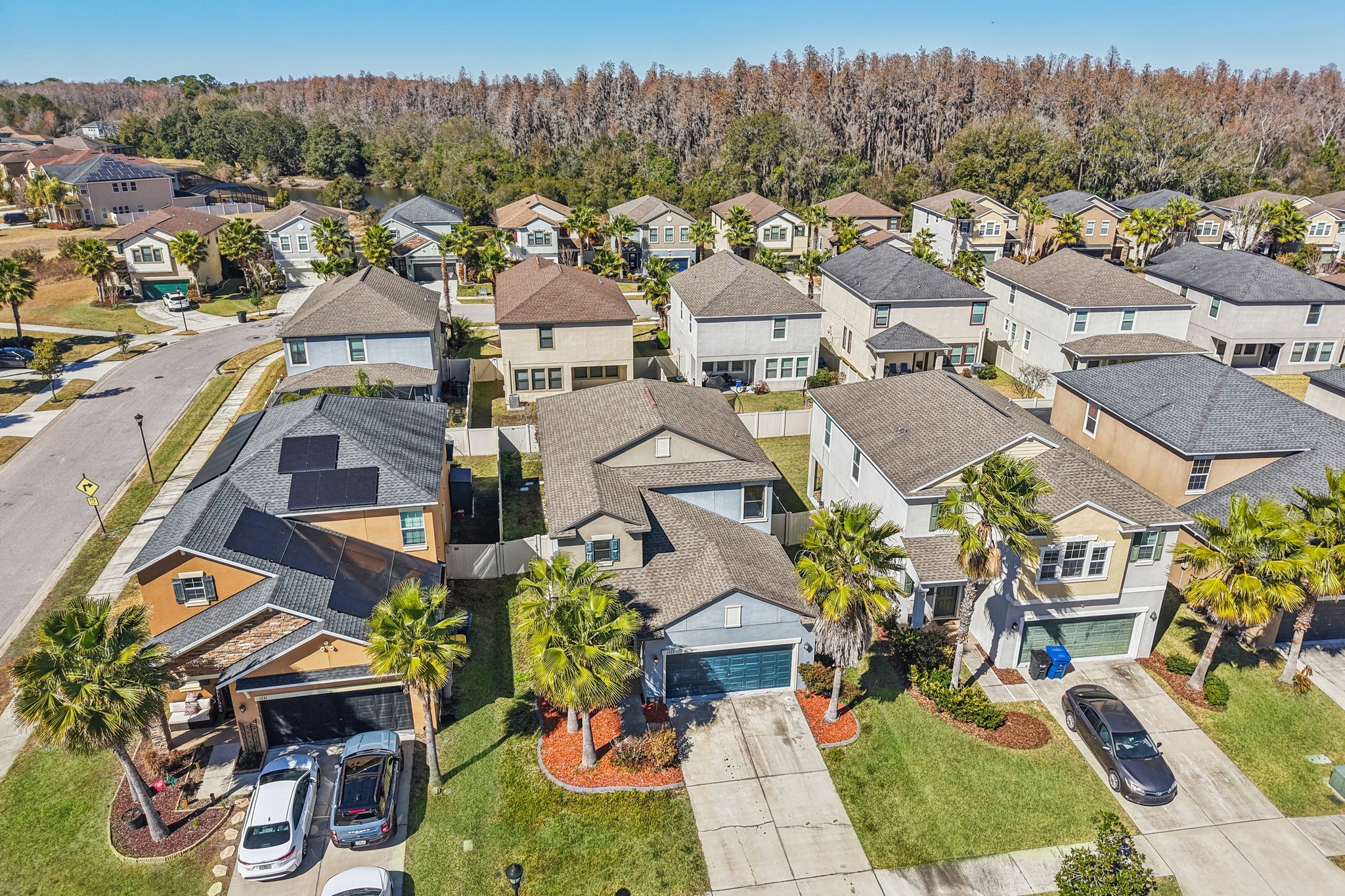 Tallulah Ter-L0702-046.jpg