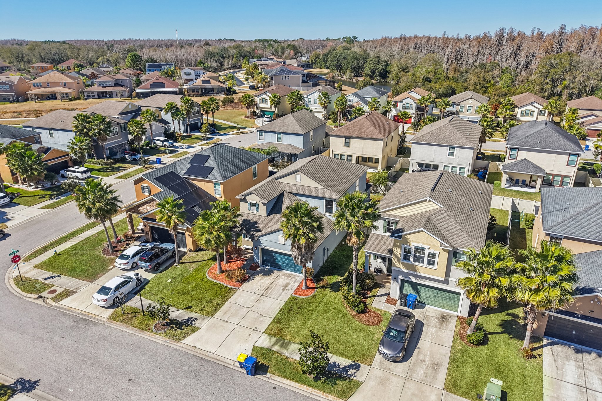 Tallulah Ter-L0702-047.jpg