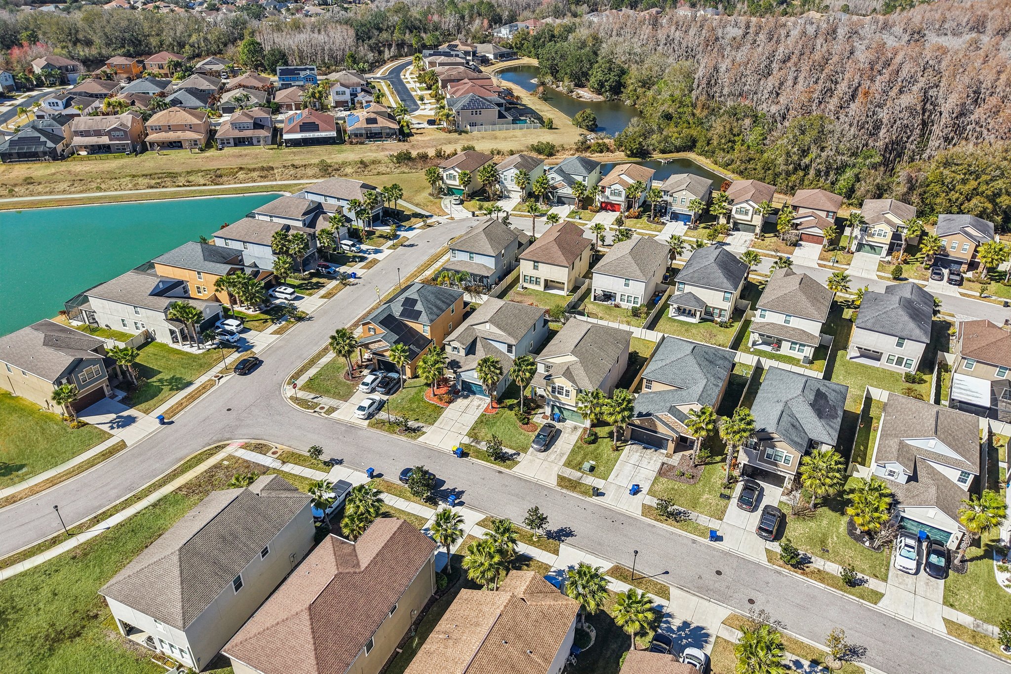 Tallulah Ter-L0702-048.jpg