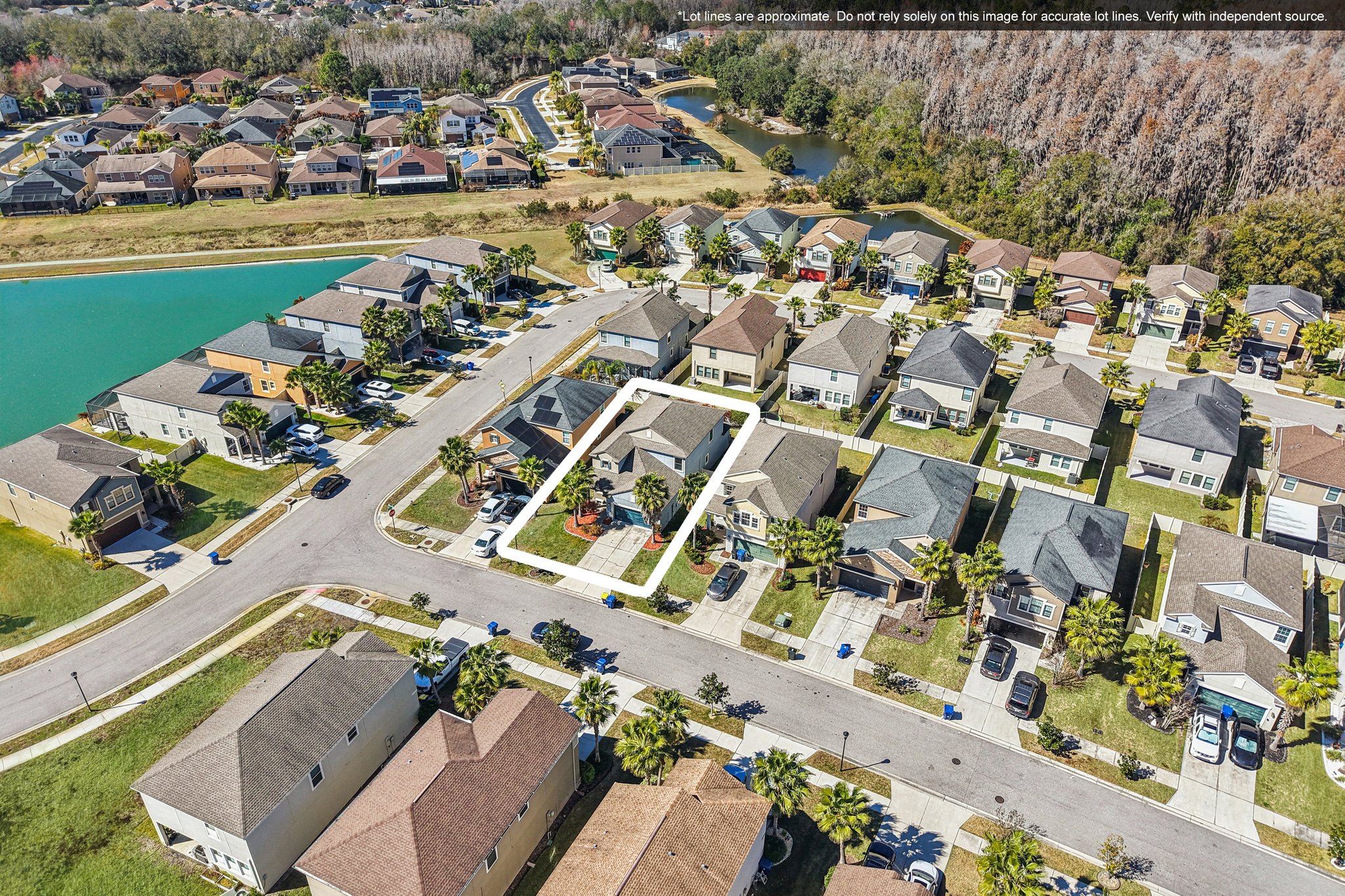 Tallulah Ter-L0702-049.jpg