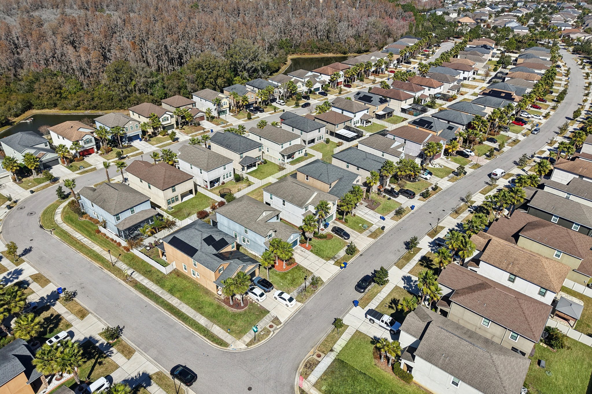 Tallulah Ter-L0702-050.jpg