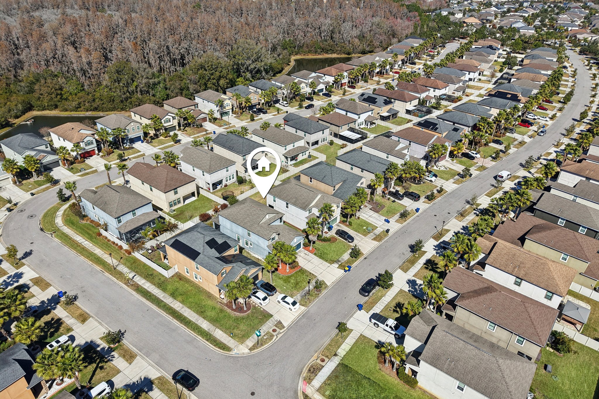 Tallulah Ter-L0702-051.jpg