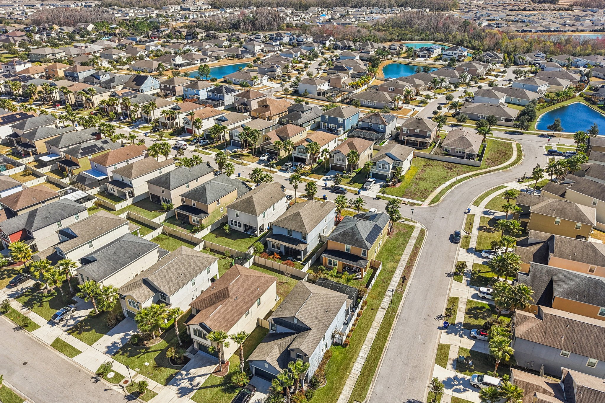 Tallulah Ter-L0702-052.jpg