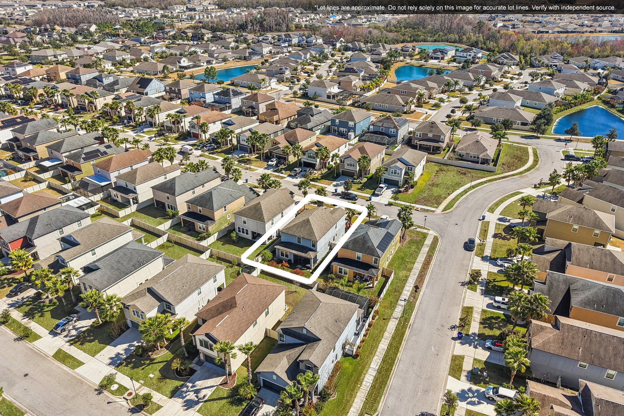 Tallulah Ter-L0702-053.jpg