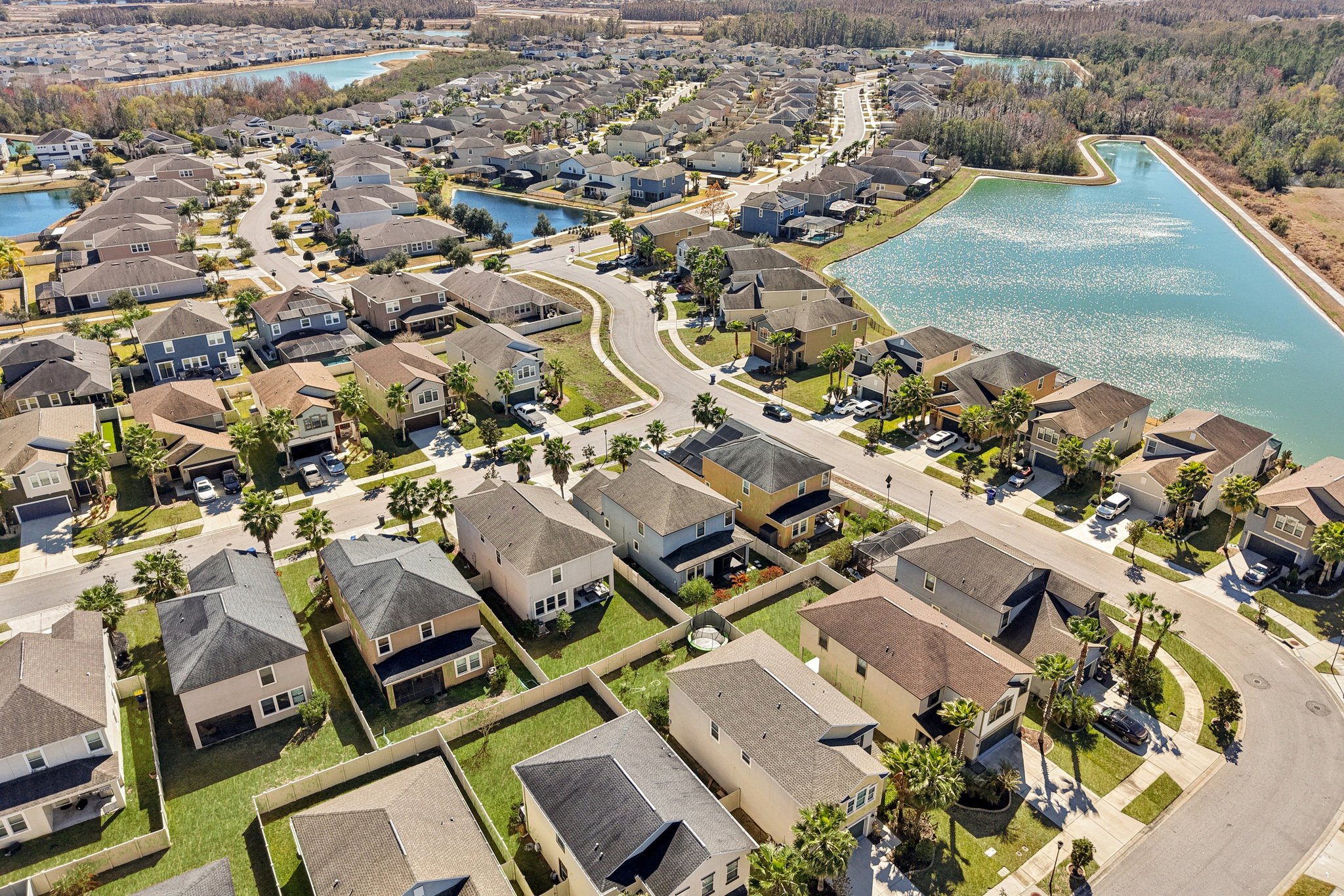 Tallulah Ter-L0702-054.jpg