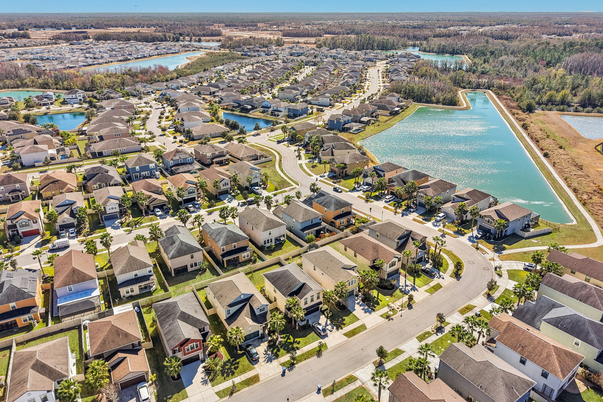 Tallulah Ter-L0702-055.jpg