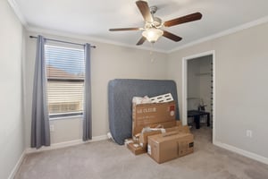 Tallulah Ter-L0702-031.jpg