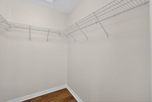Second Bedroom Walk-In Closet
