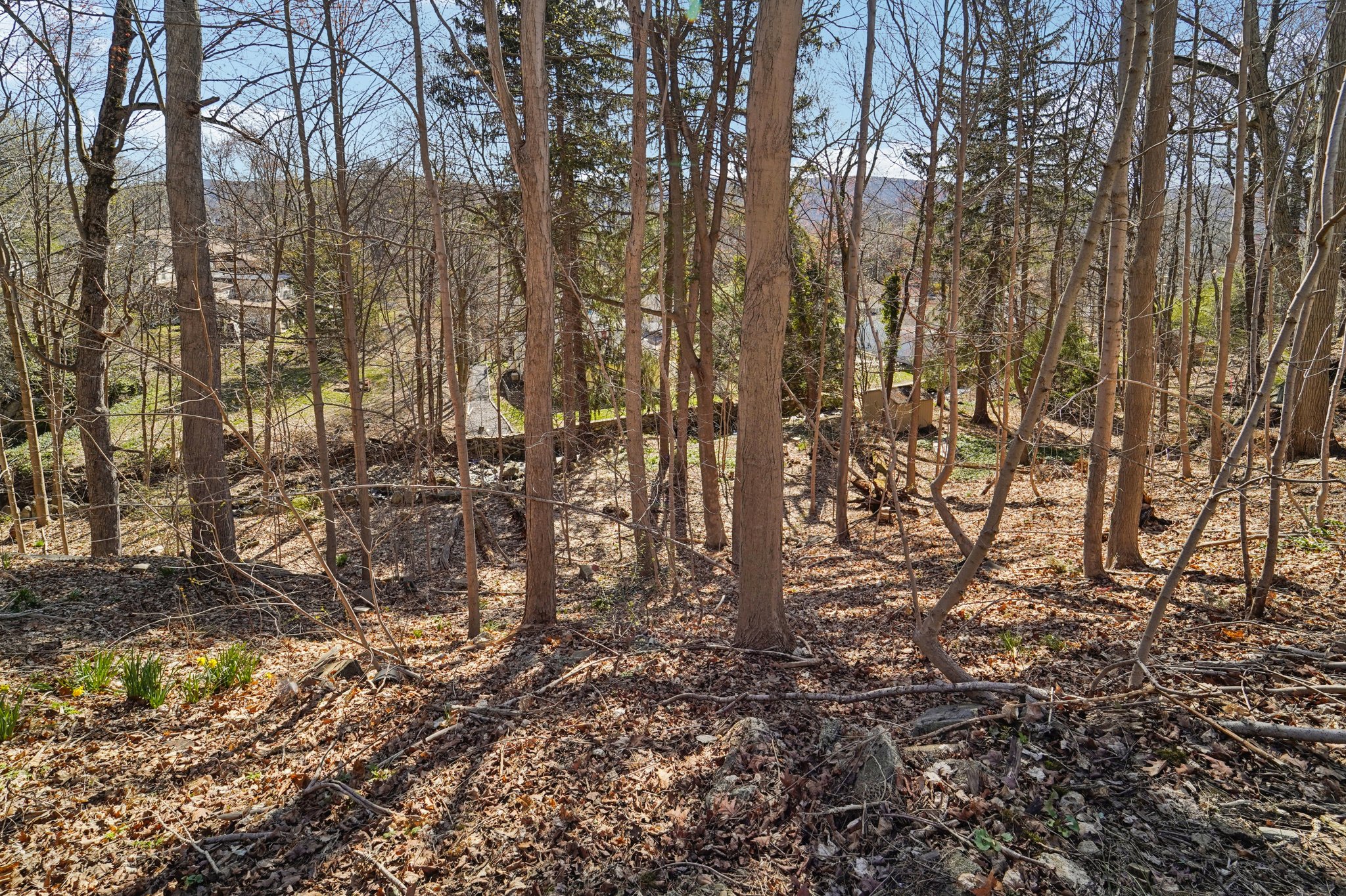 Old State Rd-S0904-043.jpg