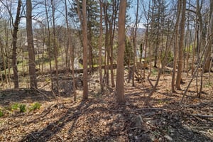 Old State Rd-S0904-043.jpg