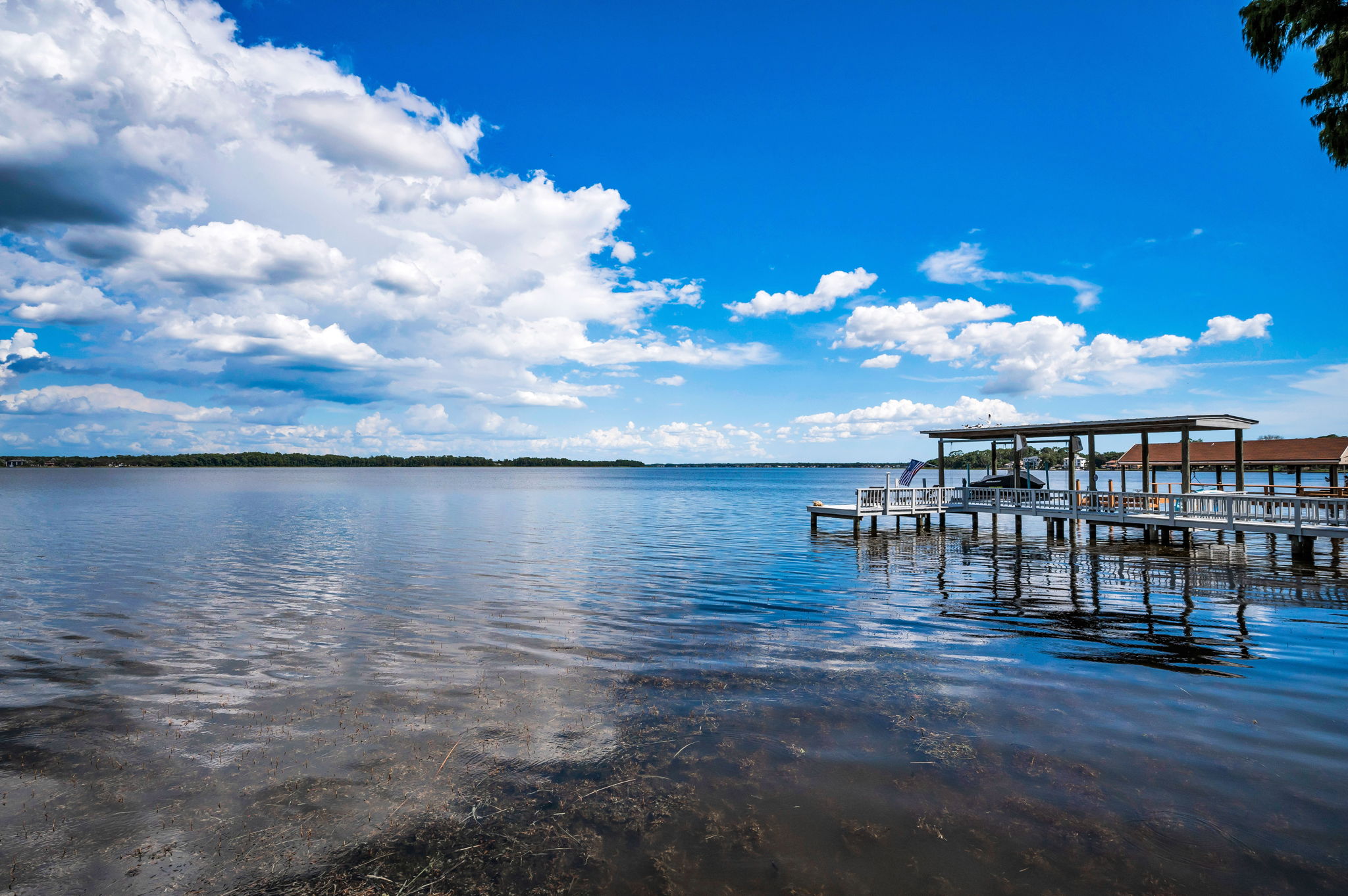 Dock and Water View