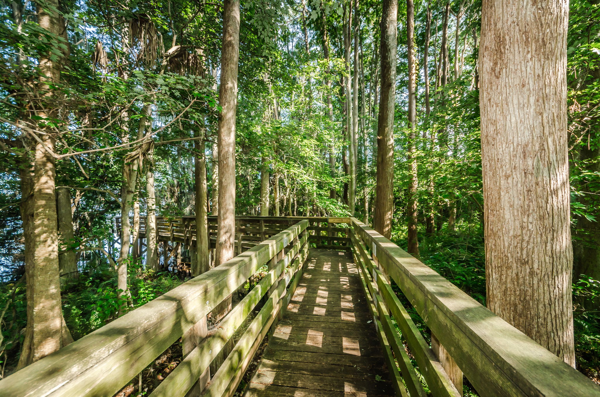 Highland Nature Park6