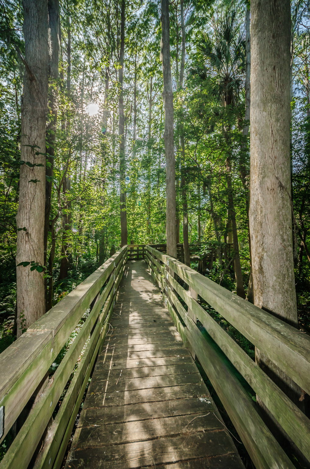 Highland Nature Park10