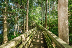 Highland Nature Park6