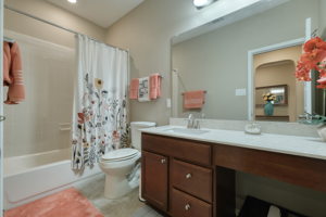Hall Bathroom