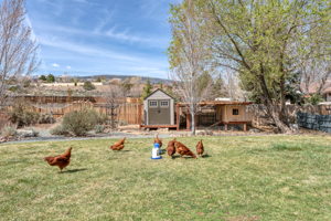 1540 Twin Oaks Rd, Reno, NV 89511, USA Photo 48