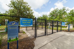 AMN DOG PARK 15403 Wicked Strong St 219-HDR