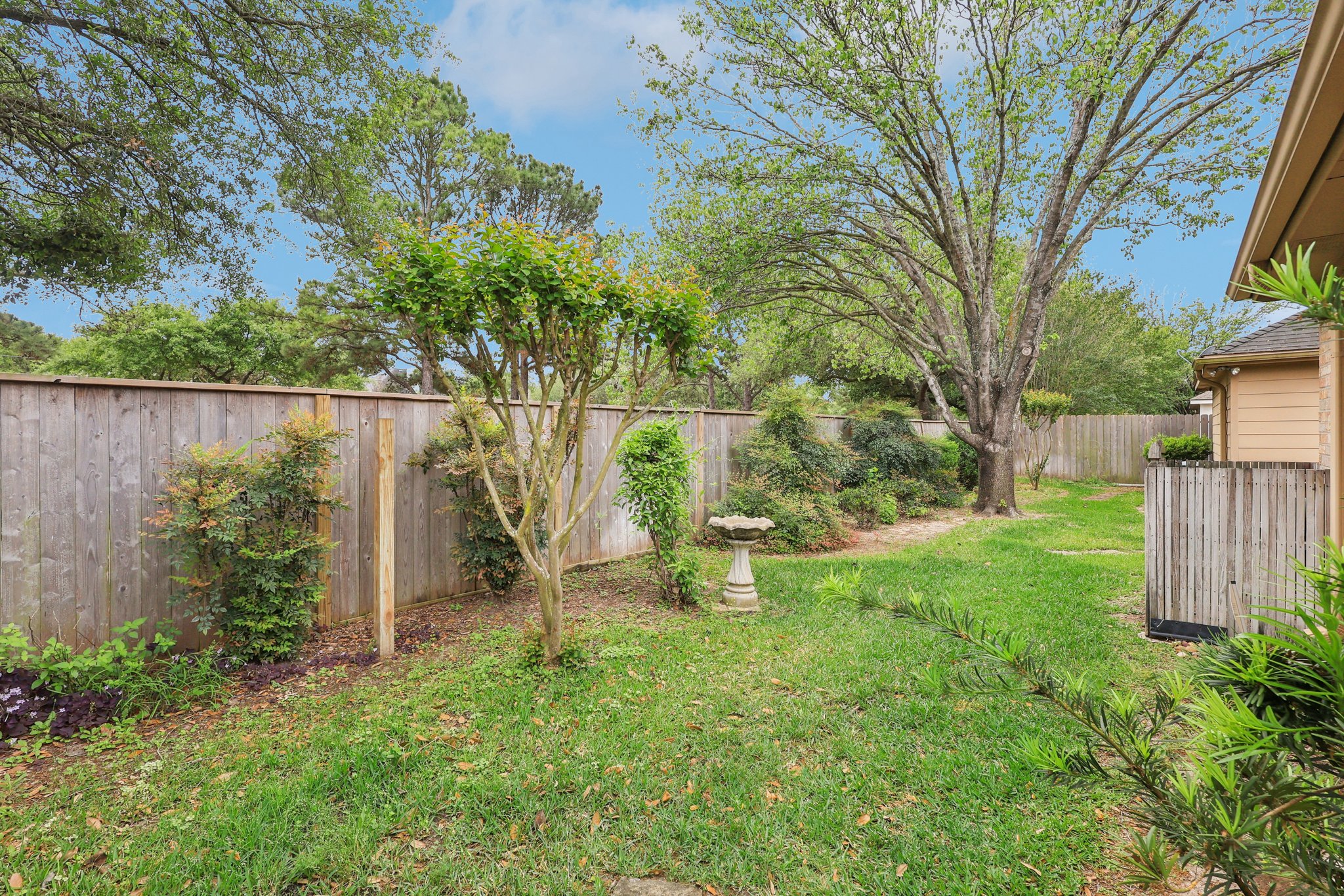 Copper Branch Ln-S0204-035.jpg