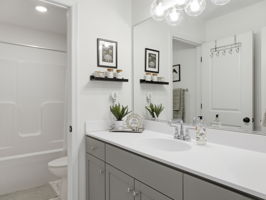  Photo 41