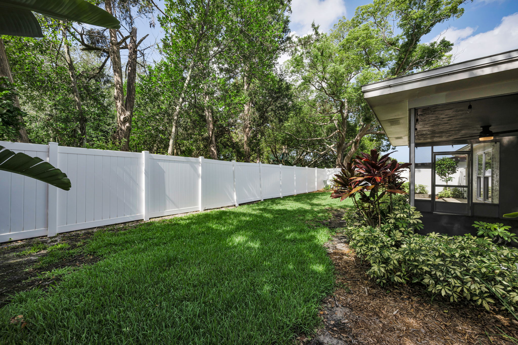Backyard 4