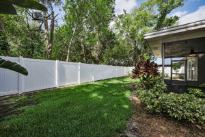 Backyard 4