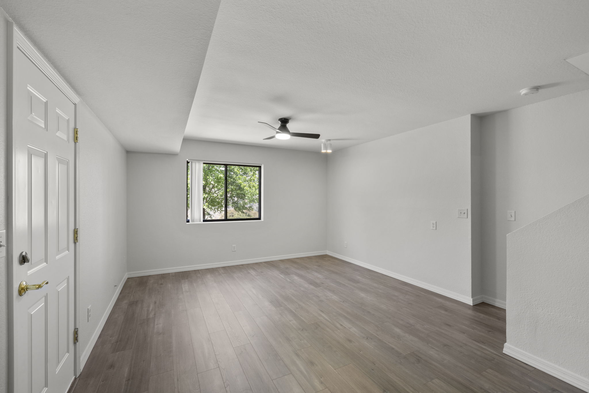 Basement (4)