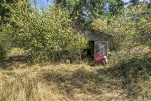  Photo 31