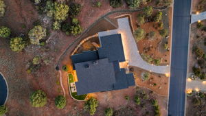 Birds Eye TW