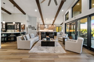Living Room (1)