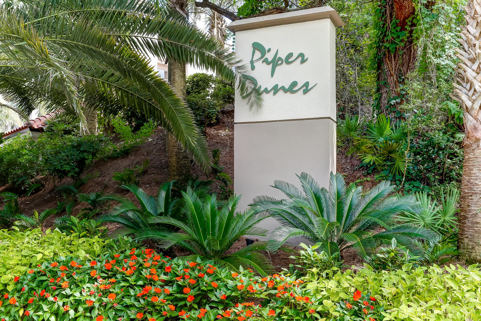 Piper Dunes