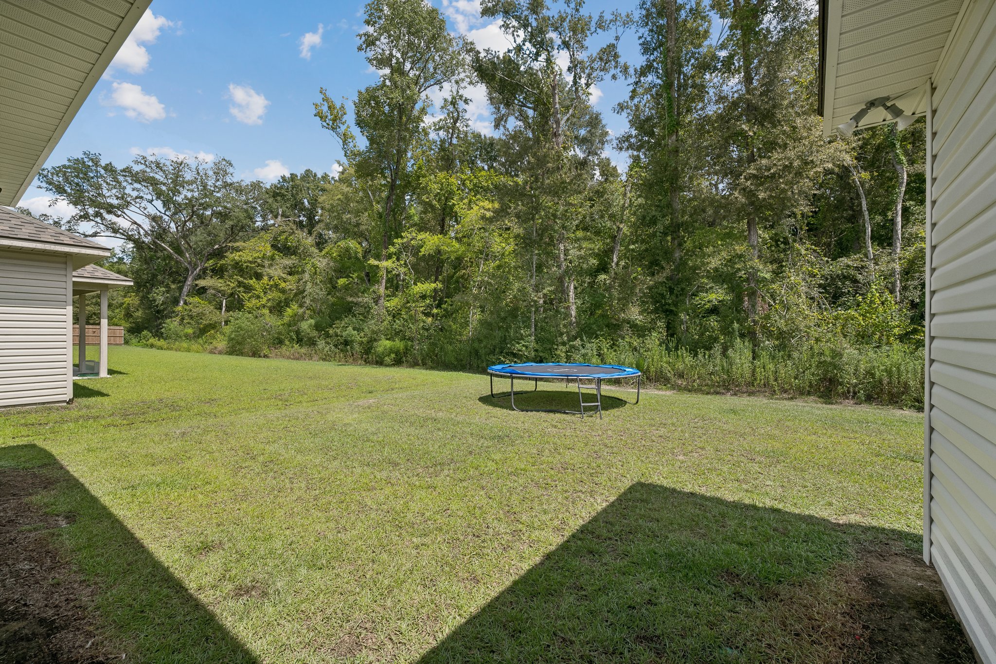 019.jpg