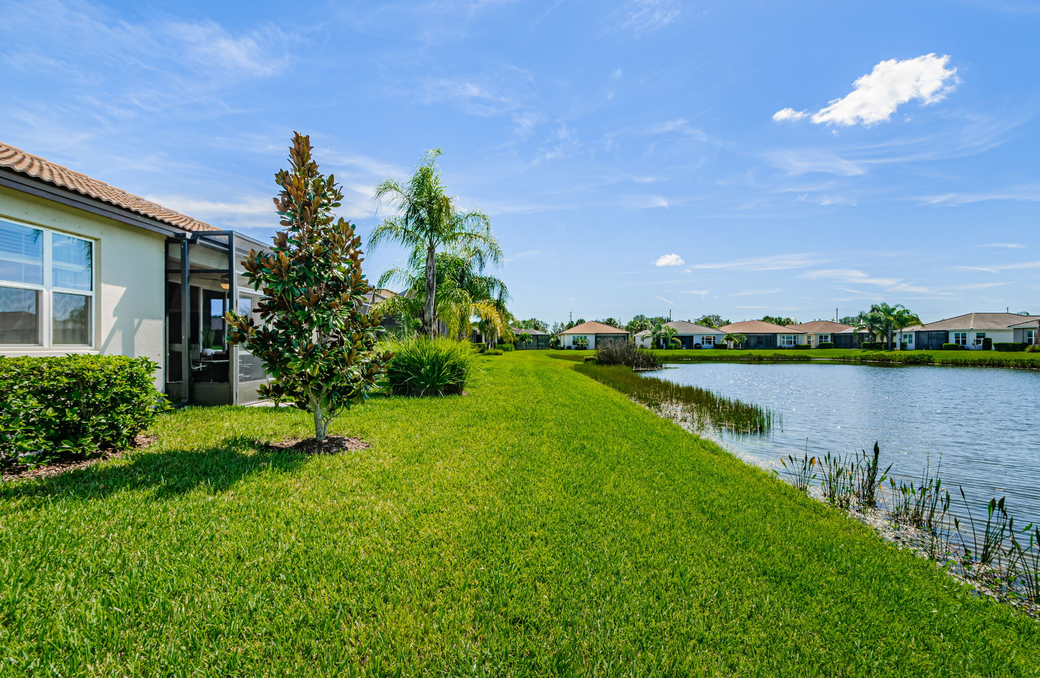 Backyard 1A