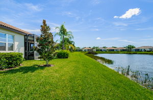 Backyard 1A