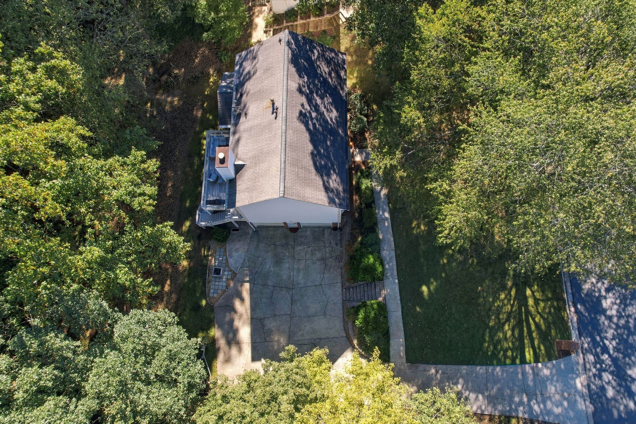  Photo 44