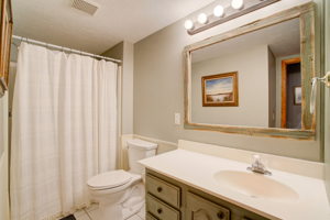 Lower Level - Bathroom