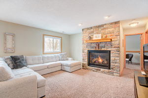 Lower Level - Living Room