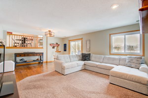 Lower Level - Living Room