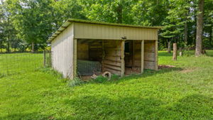 Photo 43