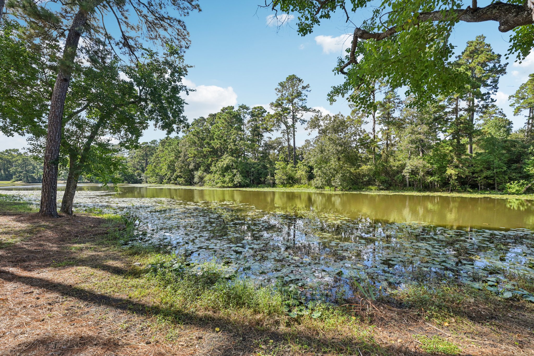 Shady Oaks Dr-S0810-055.jpg