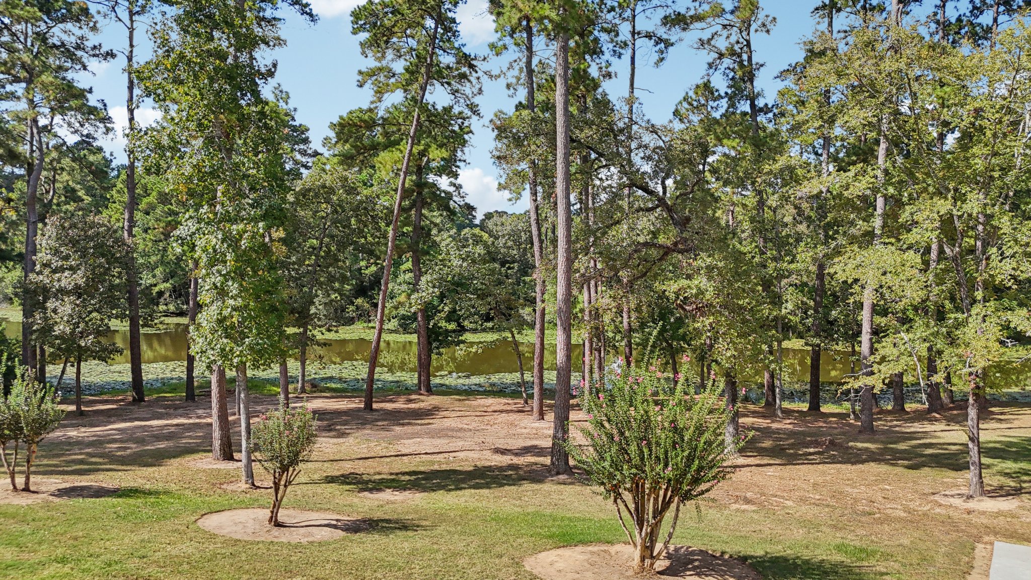 Shady Oaks Dr-S0810-073.jpg