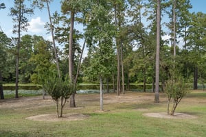 Shady Oaks Dr-S0810-048.jpg