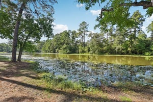 Shady Oaks Dr-S0810-055.jpg