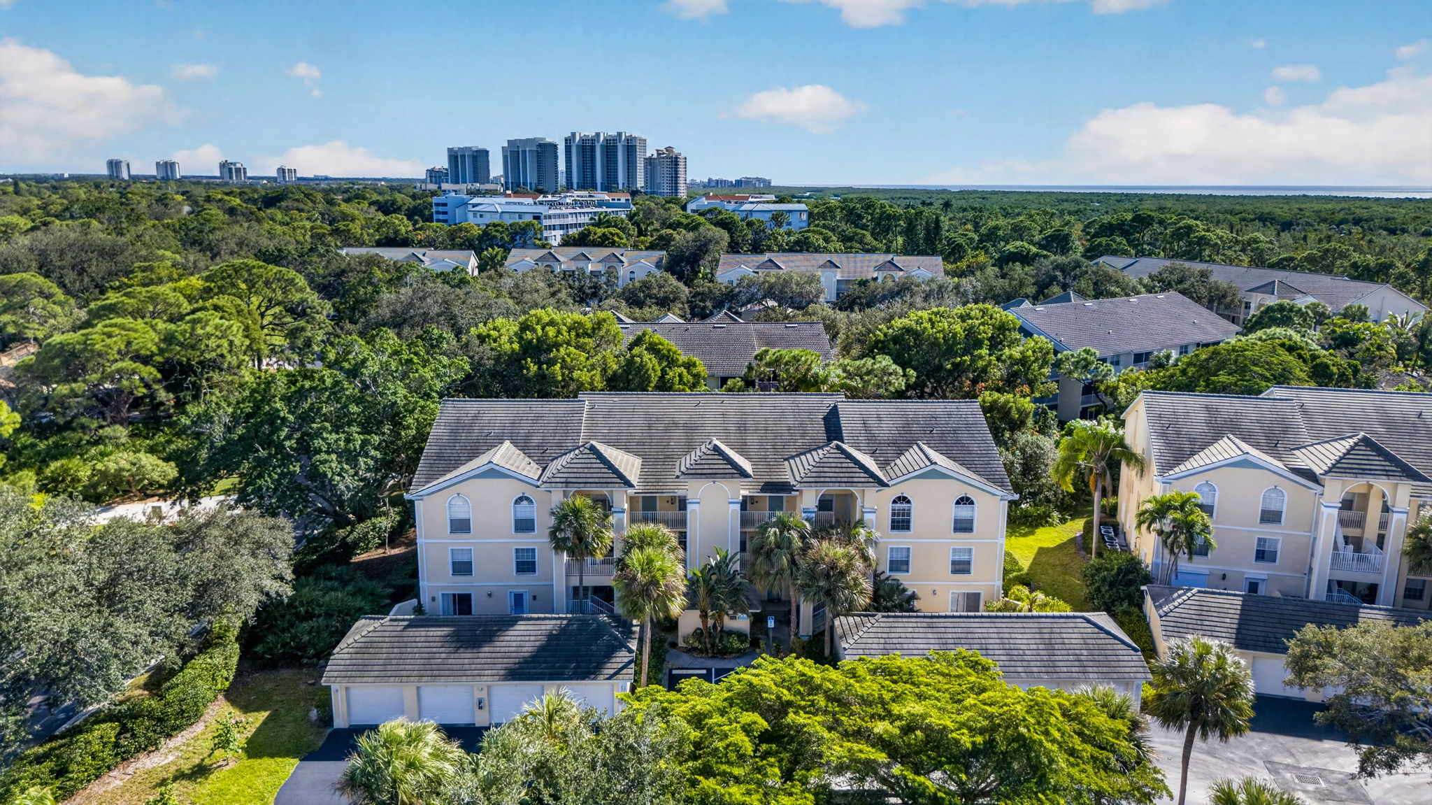 Aerial 1