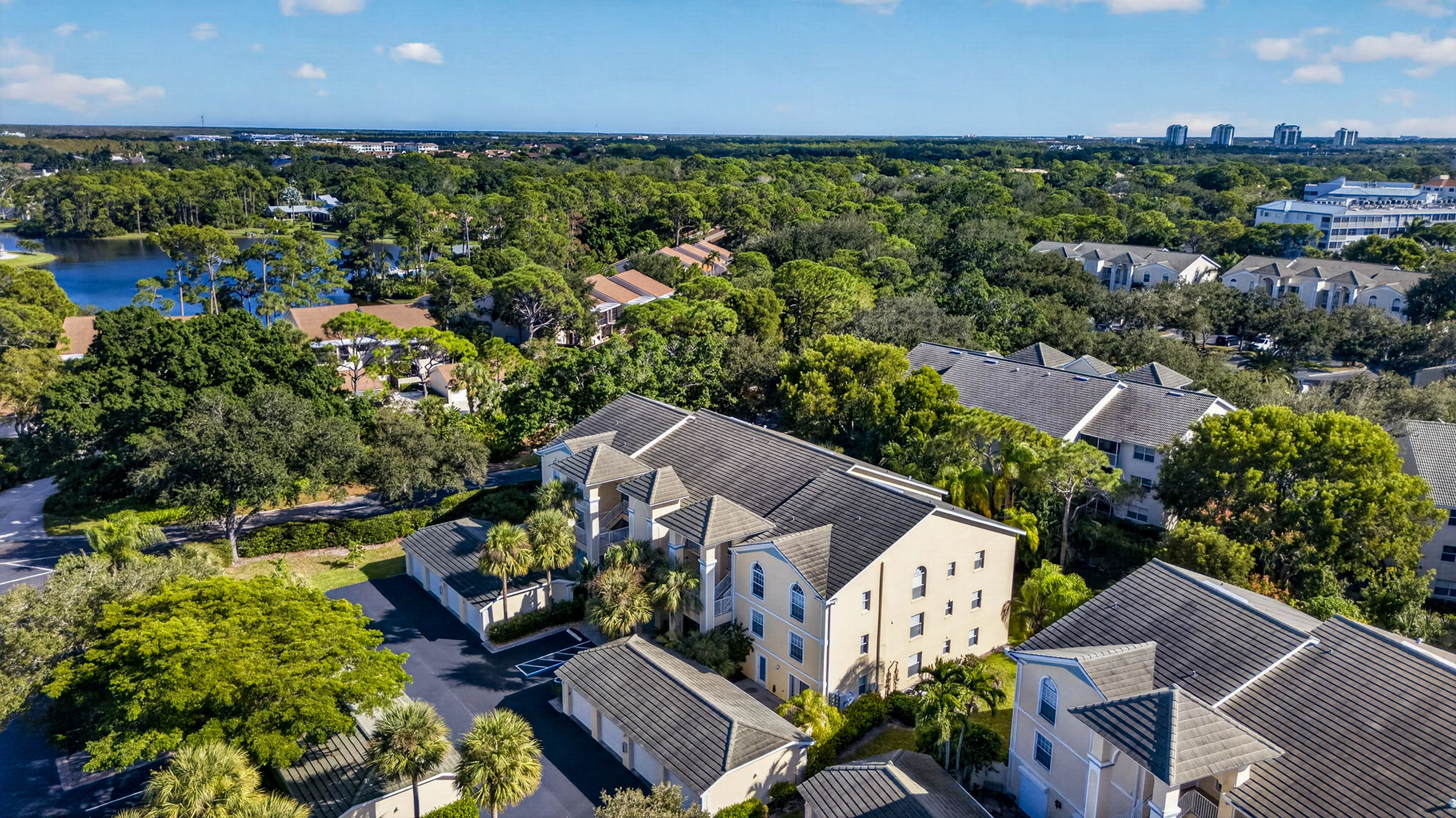 Aerial 3