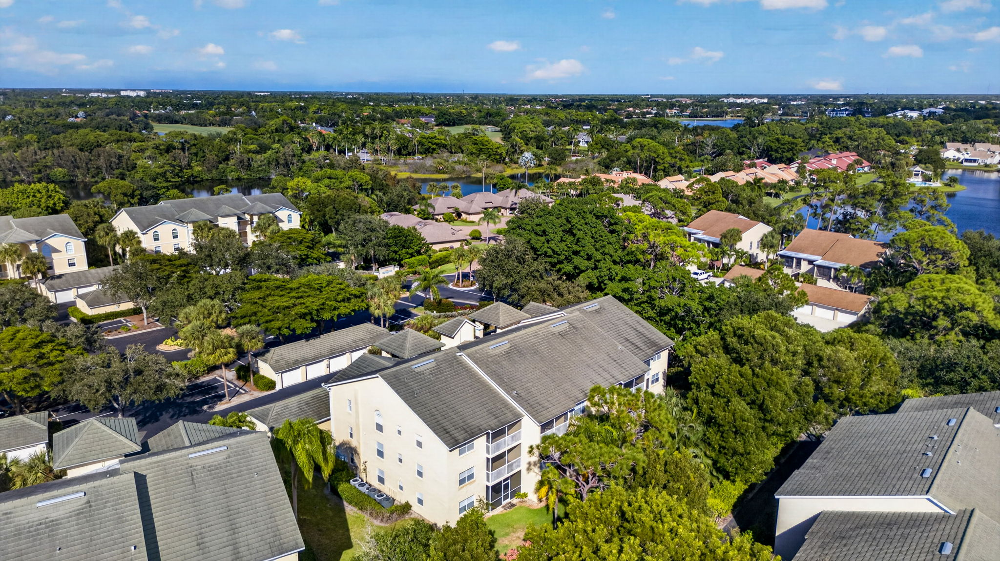 Aerial 4
