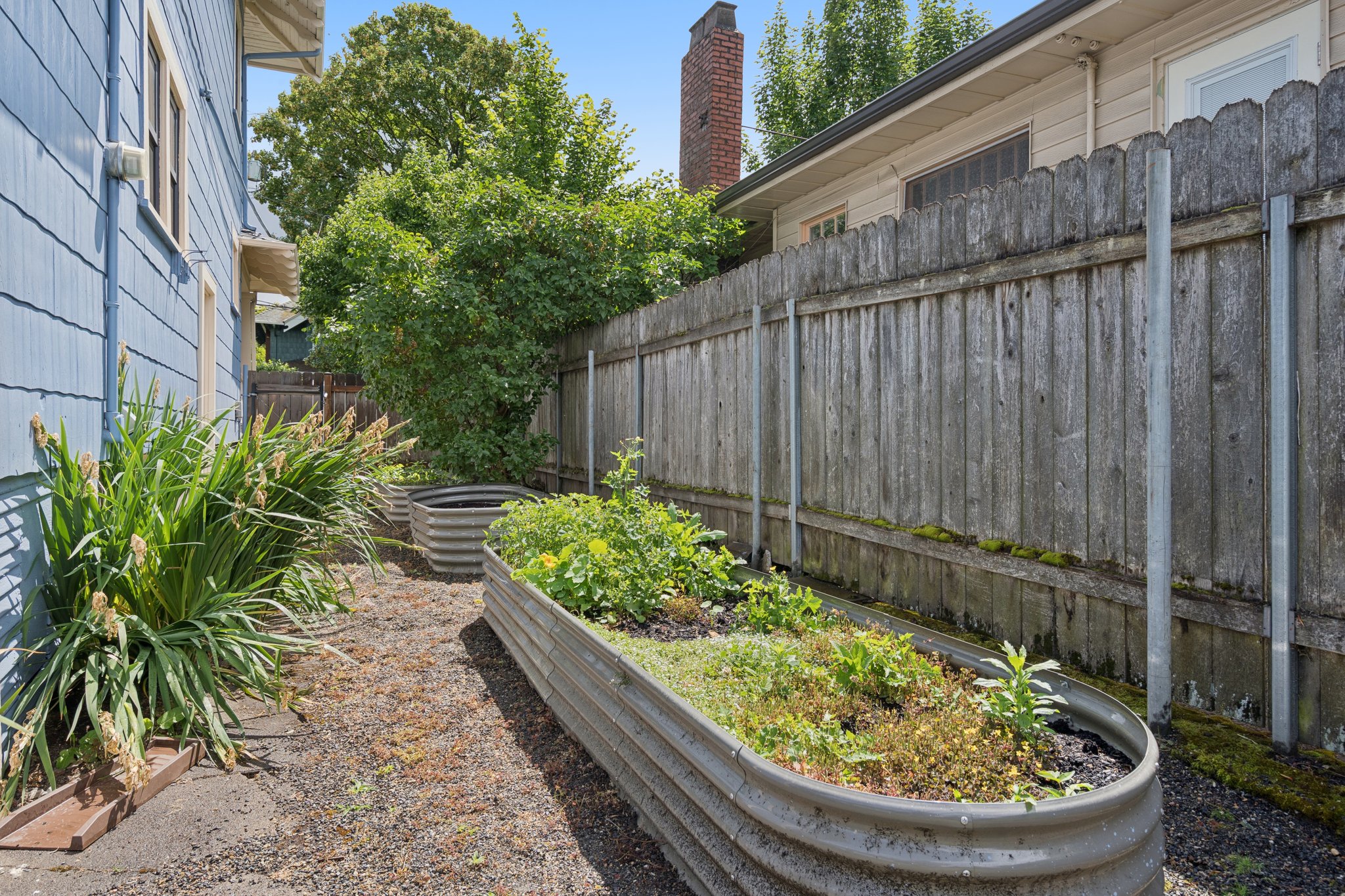 Side Yard