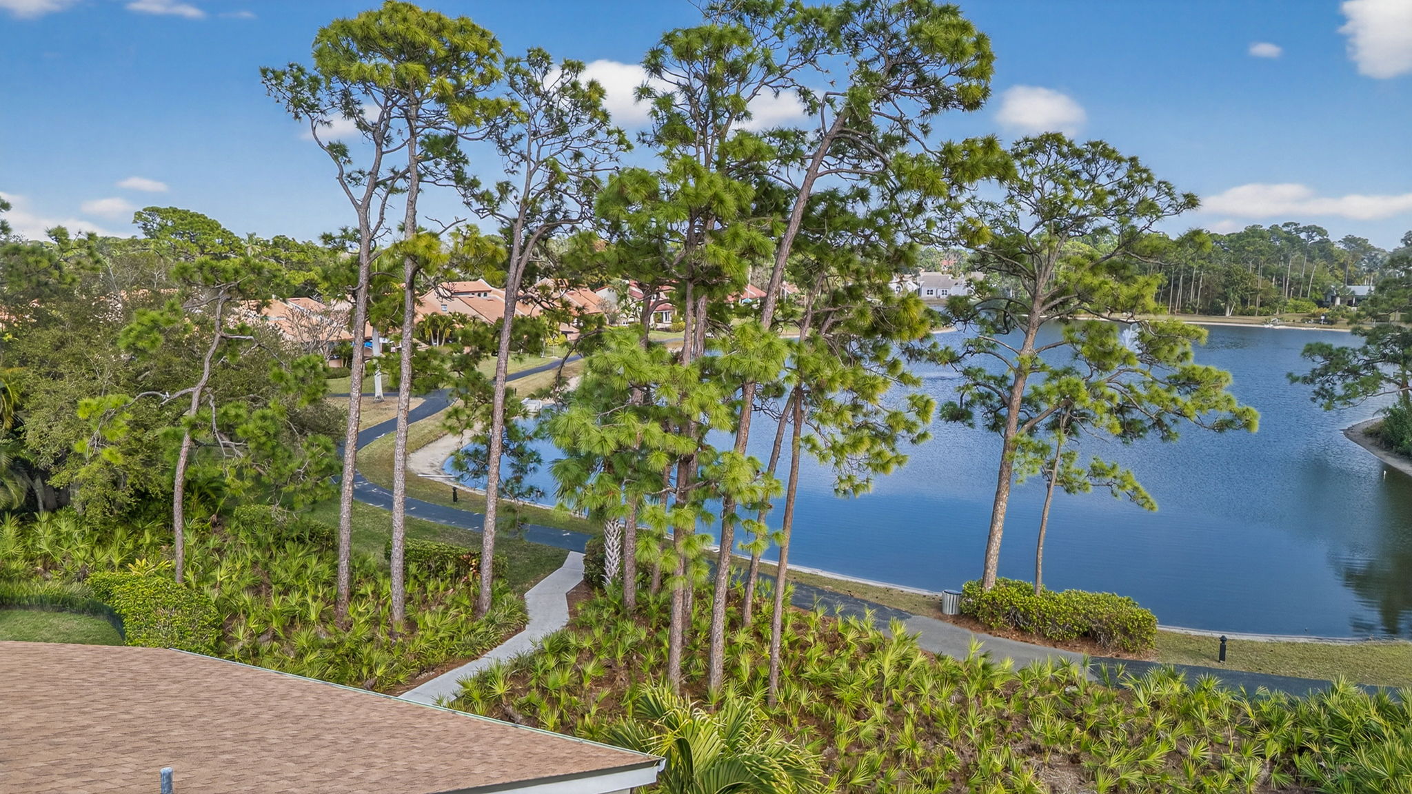 Aerial Rear Exterior 3