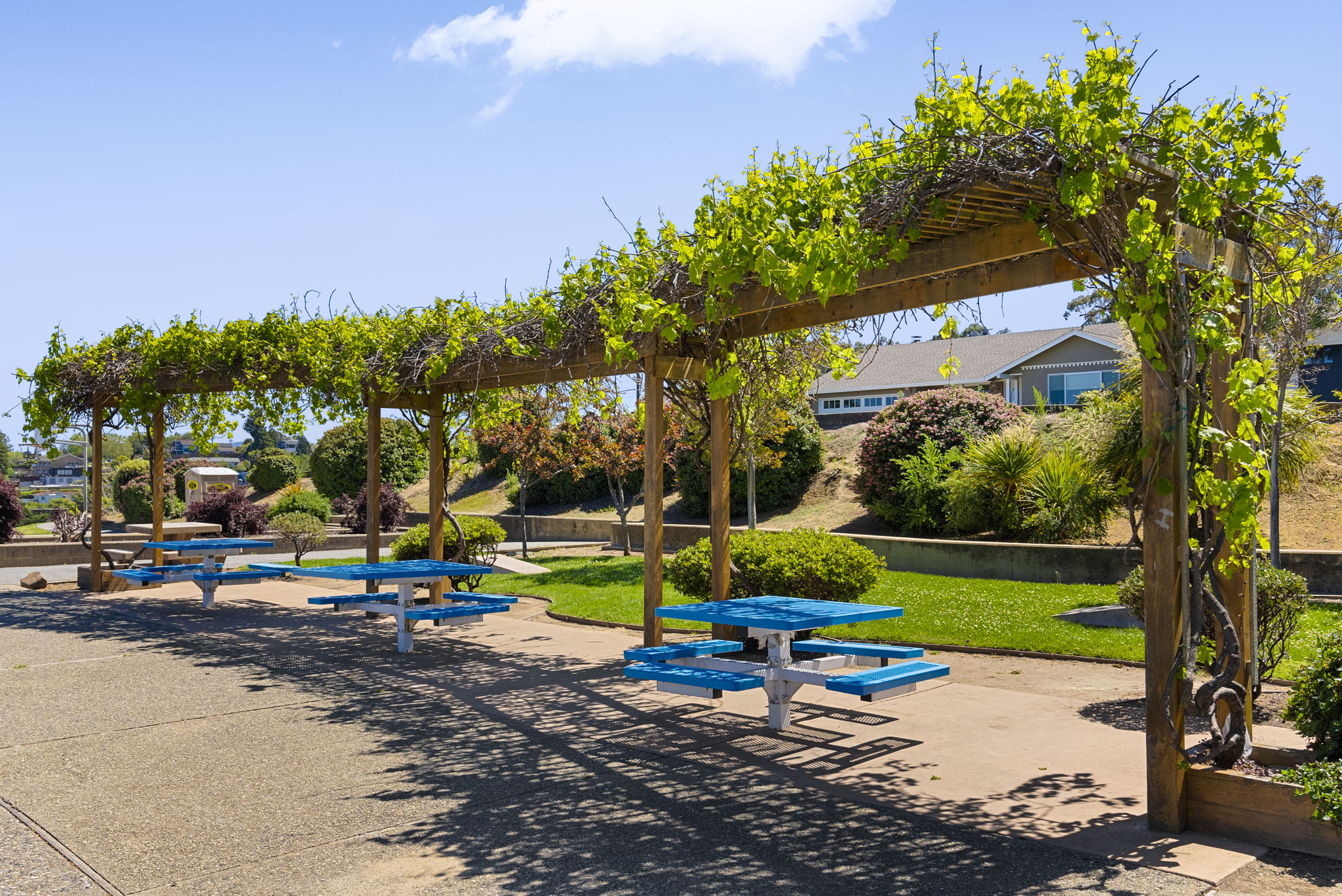 Cuernavaca Park