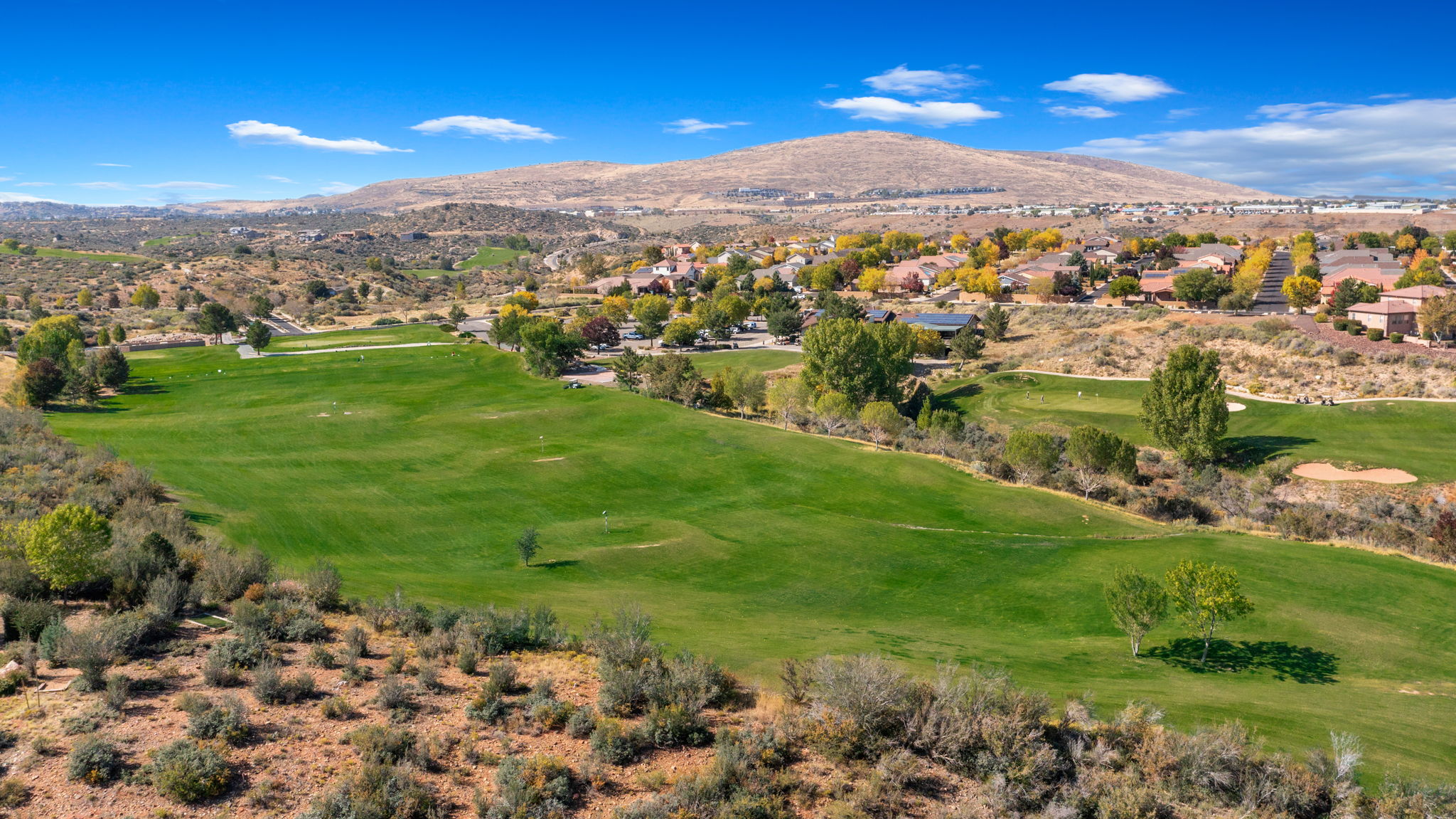 StoneRidge Aerial-15