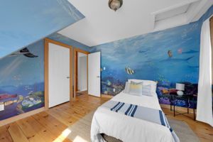 3rd bedroom painted mural